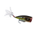 Summer Sexy Shad