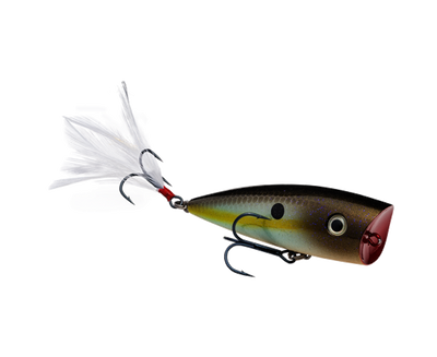 STRIKE KING KVD SPLASH TOPWATER