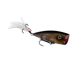 Buy clearwater-minnow STRIKE KING KVD SPLASH TOPWATER