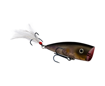 Buy clearwater-minnow STRIKE KING KVD SPLASH JR TOPWATER