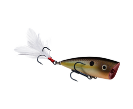 Buy summer-sexy-shad STRIKE KING KVD SPLASH JR TOPWATER