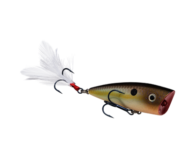 Buy summer-sexy-shad STRIKE KING KVD SPLASH JR TOPWATER