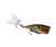 Summer Sexy Shad