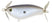#010 Ghost Shad