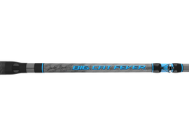 CATCH THE FEVER BIG CAT FEVER - ZAKK ROYCE EDITION (CASTING)