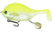 #001 Chartreuse Shad