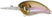 #109 Ghost Minnow