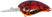 #121 Hot Craw