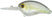 #133 Ghost Sexy Shad