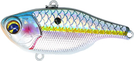 Buy 105s-scaled-american-shad IMA ROCK N' VIBER