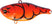 #121 Hot Craw