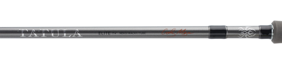 DAIWA 23 TATULA ELITE AGS SPINNING