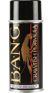 BANG FISH ATTRACTANT AEROSOL SPRAY
