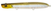 #109 Ghost Minnow