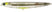 #191 Real Ghost Shad
