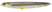 #191 Real Ghost Shad