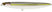 #198 Shimmer Shad