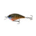 Live Bluegill