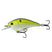 Sexified Chartreuse Shad