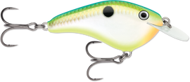 Buy citrus-shad RAPALA OG SLIM 6