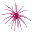 HAG'S PRICKLY PEAR-8