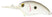 #132 Hot Shad