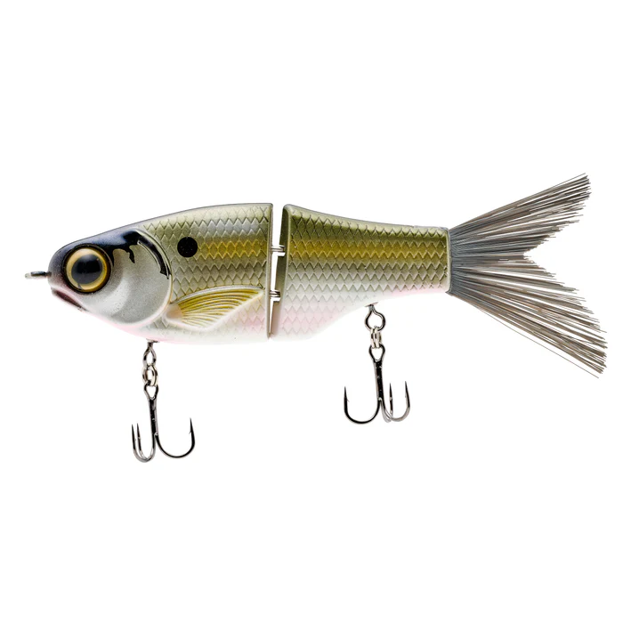 What a strike on the KGB Chad Shad This swimbait became What a strike on the KGB Chad Shad This swimbait became