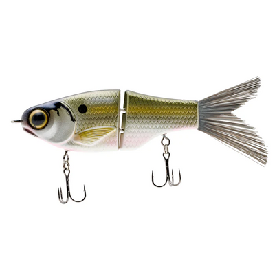 SPRO KGB CHAD SHAD 120 LIL GUY