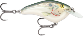 Buy shad RAPALA OG SLIM 6
