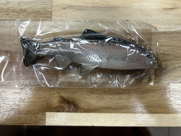 Buy rainbow HUDDLESTON DELUXE 6" HOLLOW BODY SWIMBAIT