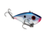 Chrome/Blue Back