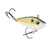 Olive Shad