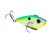 Citrus Shad