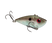 Green Gizzard Shad