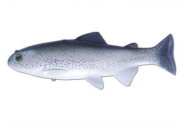 Buy shasta HUDDLESTON DELUXE 8" TROUT
