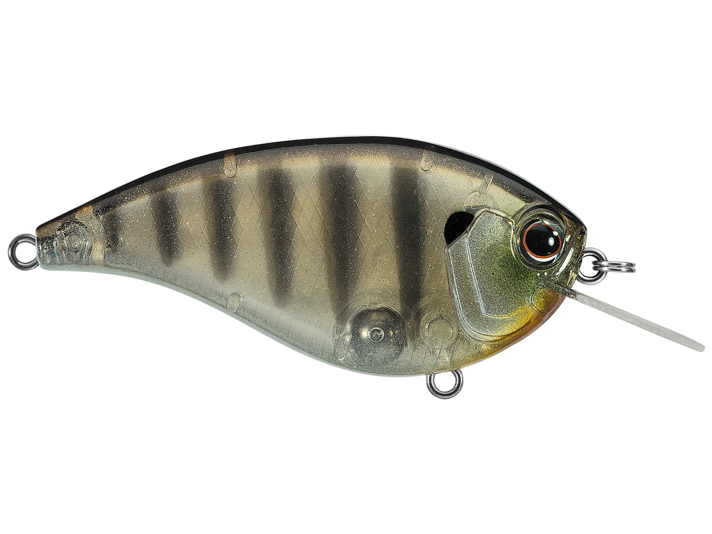 Buy baby-ghost-gill EVERGREEN FF-4 CRANKBAITS