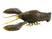 Grass Craw
