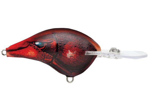 RAPALA DT SERIES CRANKBAITS / DT14 - DT20