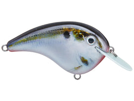 Buy natural-shad STRIKE KING CHICK MAGNET JR. FLAT SIDE CRANKBAIT