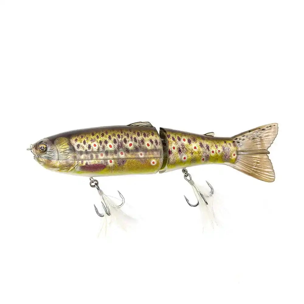 Scandal Brown Trout / 7.8 in