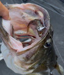 FIRE BAITS MAG STROLL HEAD-3