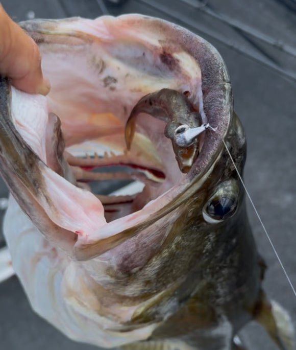 FIRE BAITS MAG STROLL HEAD