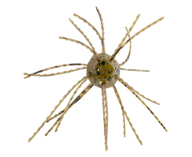 Buy green-pumpkin STRIKE KING TUMBLEWEED