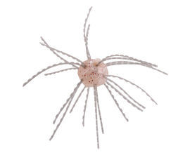 Buy white-sauce STRIKE KING TUMBLEWEED