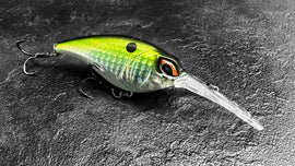 DIGITAL SQUAD WARP CRANK 72 - 0