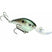 STRIKE KING MAGNUM XD CRANKBAIT - 8XD - Copperstate Tackle