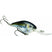 STRIKE KING MAGNUM XD CRANKBAIT - 8XD - Copperstate Tackle