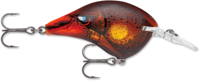 Buy rusty RAPALA DT SERIES CRANKBAITS DT4-12