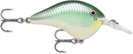 Buy blue-back-herring RAPALA DT SERIES CRANKBAITS / DT8 - DT10