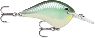 Buy blue-back-herring RAPALA DT SERIES CRANKBAITS DT4-12